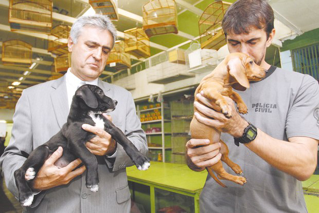 work Image